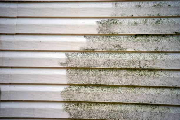 Best Attic Cleanout  in Mitchell, IN